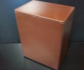 TEMPORARY PLASTIC SNAP TOP CONTAINER - MAY BE USED WITH NO OTHER URN NEEDED 8.5 X 6.5 X 4.5